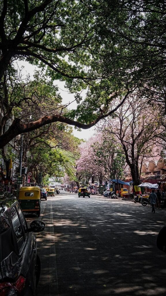 Nashik To Mumbai Cab Service
